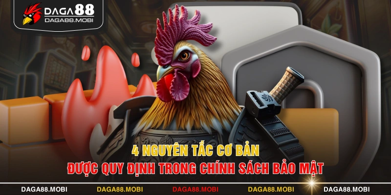 4 nguyên tắc cơ bản được quy định trong chính sách bảo mật