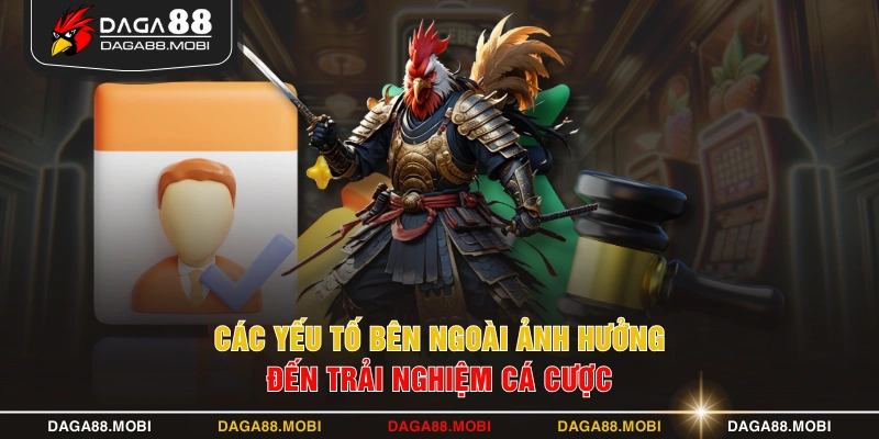 Các yếu tố bên ngoài ảnh hưởng đến trải nghiệm cá cược